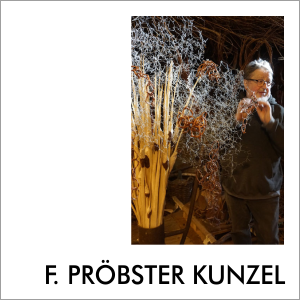 Franz Pröbster Kunzel im Atelier | Foto: Wolf Erdel